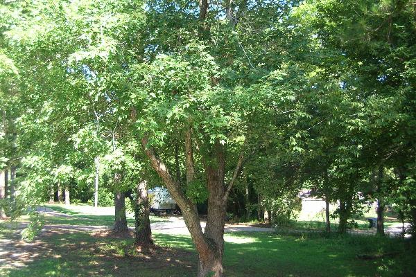 Tuscumbia RV Park