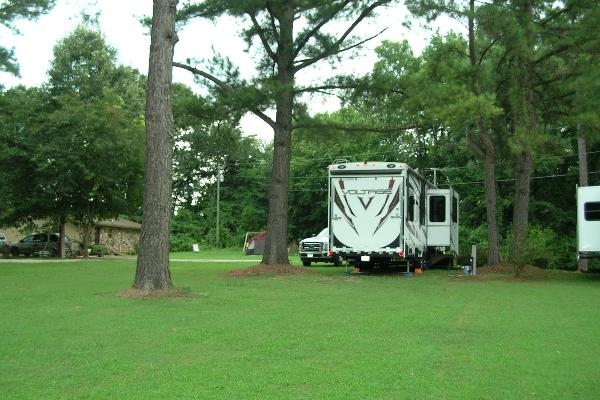 View of Site